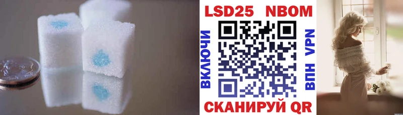 blacksprut ссылки  Магас  LSD-25 экстази кислота 