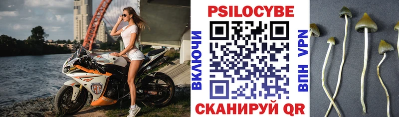 Псилоцибиновые грибы Psilocybine cubensis  Магас 