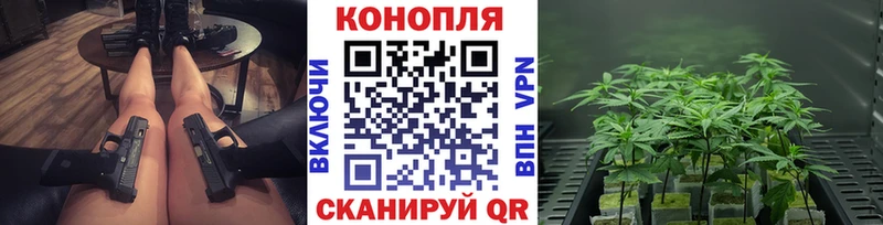 кракен как зайти  Магас  Бошки марихуана VHQ 